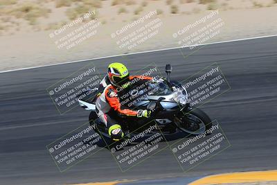 media/Apr-09-2023-SoCal Trackdays (Sun) [[333f347954]]/Turn 12 Inside (930am)/